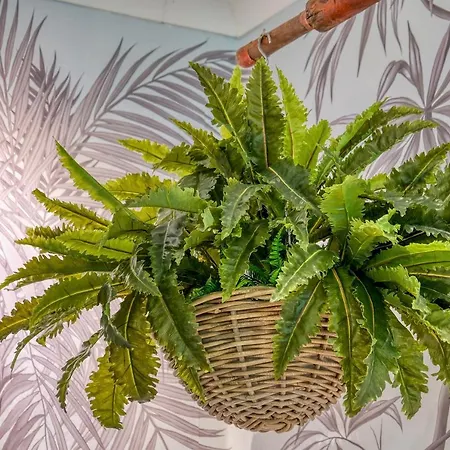 Ackselhaus & Blue Berlin