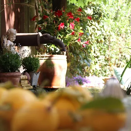 Ackselhaus & Blue 4* Berlin