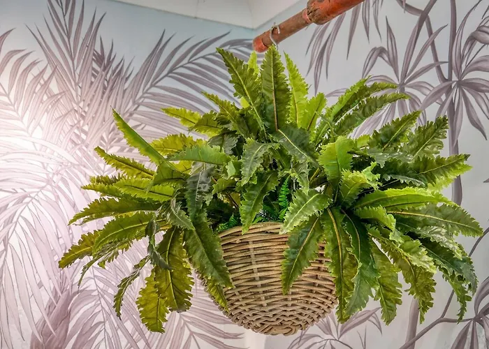 Ackselhaus & Blue ברלין